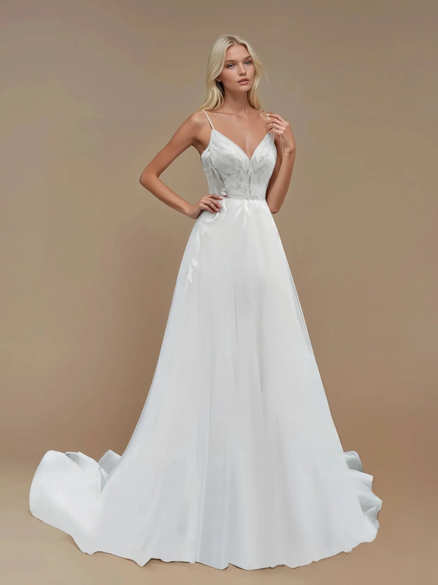 Graceful Lace A-Line Gown