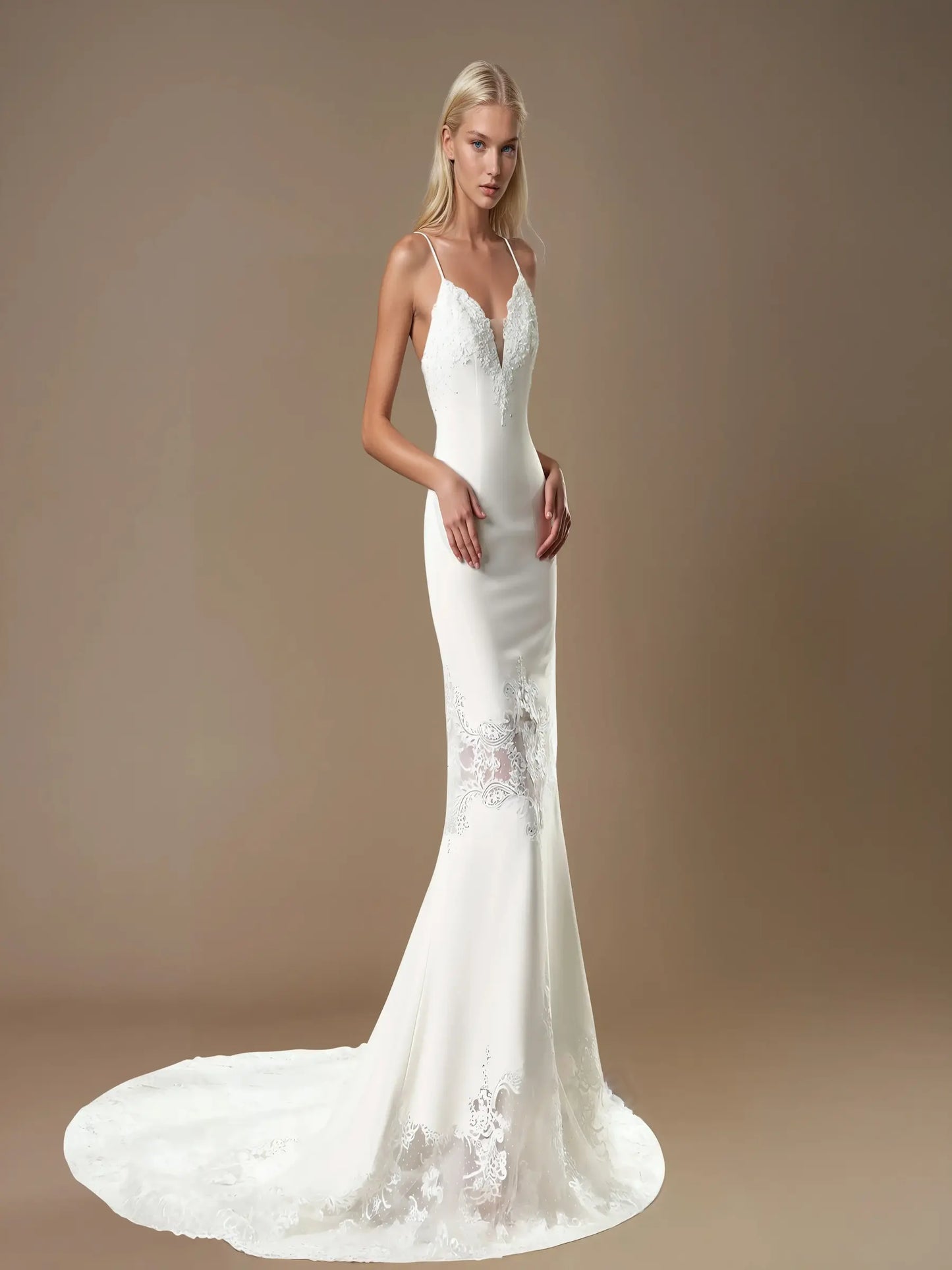 Celina Beaded Lace A-Line Gown