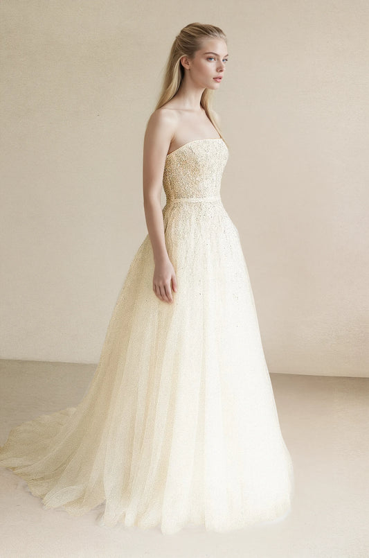 Starlit Whisper Gown